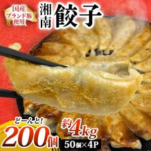 【200個!!】湘南生餃子 50個×4P 約4kg 国産ブランド豚 国産野菜使用!! ぎょうざ