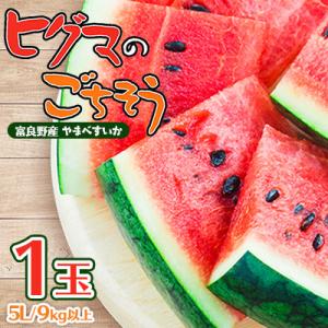 【2026年発送先行受付】ヒグマのごちそう(すいか)5L以上　1玉
