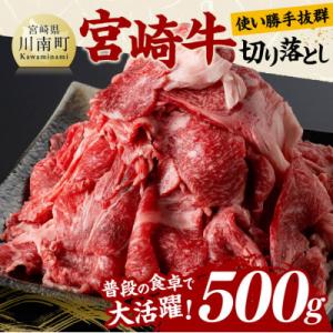 宮崎牛 A4～A5ランク 切り落とし 500g (川南町)