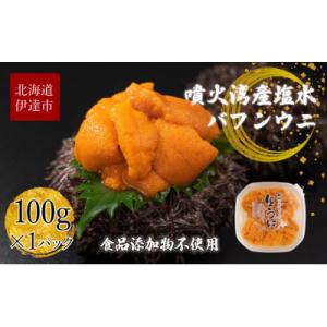 北海道産 塩水 バフンウニ 100g×1パック