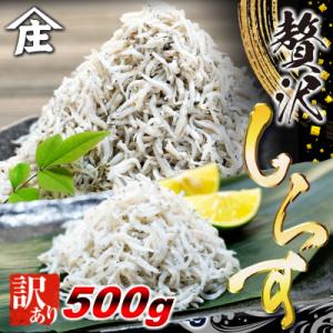 訳ありしらす干し 500g  冷凍 減塩 南知多町師崎 山庄水産