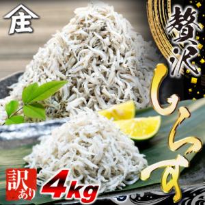 訳ありしらす干し 4kg(1kg×4箱)  冷凍 減塩 南知多町師崎 山庄水産