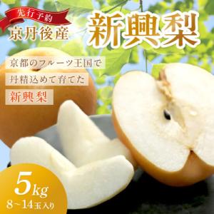 京丹後産 新興梨 5kg(8～14玉入り)(2026年10月中旬順次発送予定)
