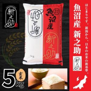 あきたこまち 米 お米 玄米 5kg 淡雪こまち 秋田産 特別栽培米 5年産