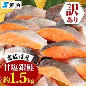 訳あり　銀鮭　宮城県産　甘塩　切身　約1.5kg　国産/三陸　女川町