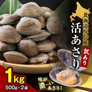 【訳あり・無選別】北海道産 厚岸 活あさり〈砂出し済み〉1kg(500g×2袋) 冷蔵発送