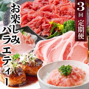 定期便3回配送　お楽しみバラエティー　OO-0004