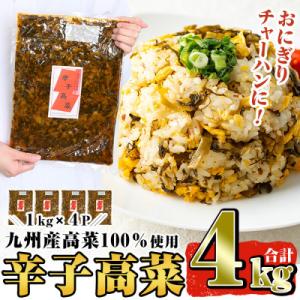 九州産辛子高菜セット4kg(1kg×4パック) 姶良市 a568【九州新進】