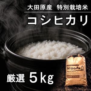 栃木県大田原産コシヒカリ 白米5kg|特別栽培米|栃木県農業大賞知事賞受賞農家
