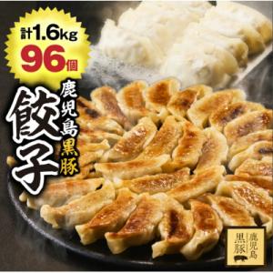 鹿児島黒豚 餃子1.6kg(96個)　1289-1