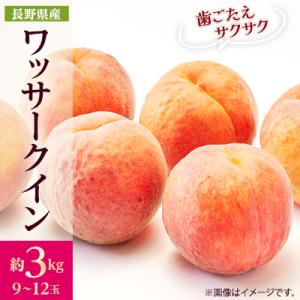 【2026年発送】フルーツ王国　長野県信州直送　ワッサークイン　約3kg(9～12玉)