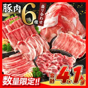 ふるさと納税 日南市 宮崎県産豚肉 6種 盛り合わせ セット 合計4.1kg(日南市)