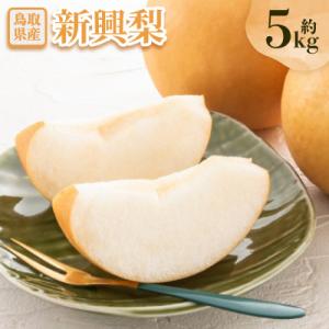 新興梨5kg