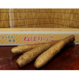 ねばりっこ　長芋　3～4本
