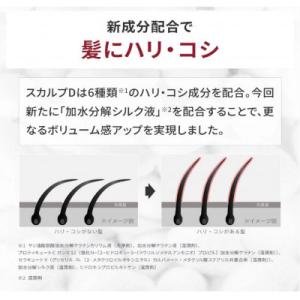ふるさと納税 橋本市 【9月末掲載終了】スカル...の詳細画像2