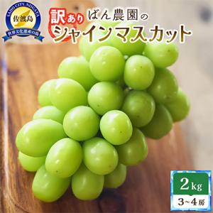【2026年9月発送分】訳あり　シャインマスカット2kg　3～4房　佐渡島産