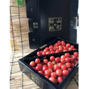 令和8年産　秀以上　 山形県産 さくらんぼ(佐藤錦)　1kg Lサイズ以上　バラ