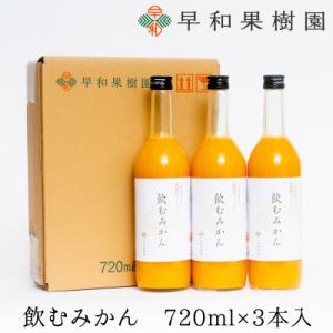 【早和果樹園】飲むみかん(大瓶)3本入|有田みかん100%ストレートジュース