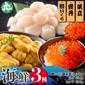うに100g×2個 鱒いくら醤油漬け100g×2個 ホタテ300g 北海道弟子屈町 3611