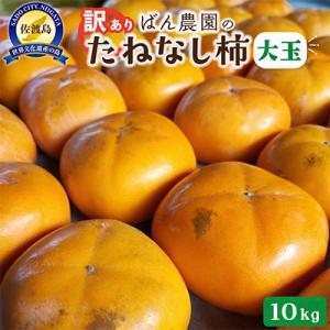 【2026年10月以降発送分】訳あり　佐渡島産大玉たねなし柿　10kg(箱の重さ込み)