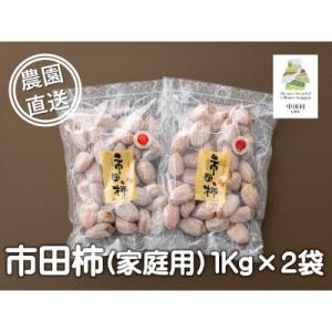 ふるさと納税 中川村 【2026年12月下旬お届け予定】富永農園の自家用市田柿　2パックA級品　2kg