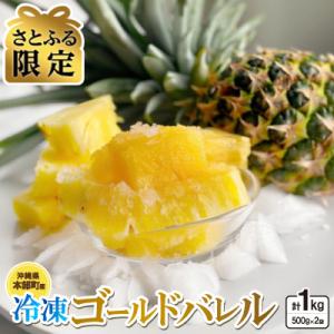 【さとふる限定】パイナップルの甘さを閉じ込めた!冷凍ゴールドバレル1kg(1袋500g×2袋)