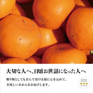 ふるさと納税 八幡浜市 【訳あり】星乃せとか ...の詳細画像2