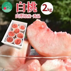 白桃 2kg(6～8玉前後) 秀品 ギフト用 品種おまかせ 山形県産 【令和8年産 先行予約】