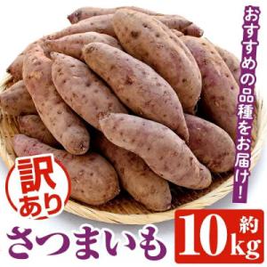 訳あり さつまいも　約10キロ　akn053-20