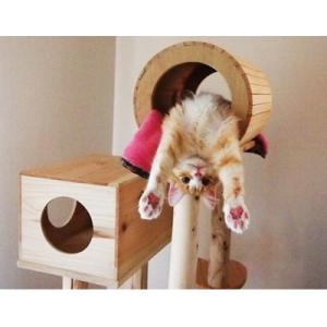 ふるさと納税 猪苗代町 木のキャットタワー「猫...の詳細画像2