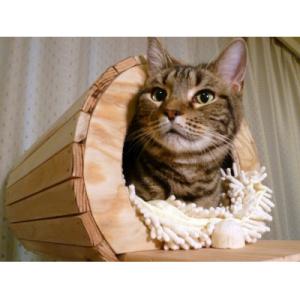 ふるさと納税 猪苗代町 木のキャットタワー「猫...の詳細画像2