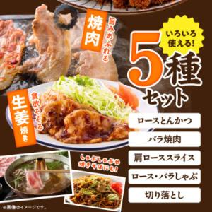 ふるさと納税 都城市 宮崎県産豚うきうきセット...の詳細画像2