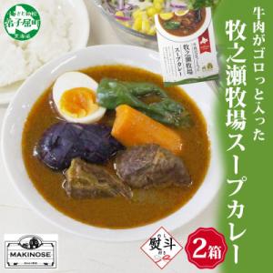 ふるさと納税 弟子屈町 【のし付】 ビーフスープカレー 300g 2箱 牛肉ゴロっと 牧之瀬牧場 北...