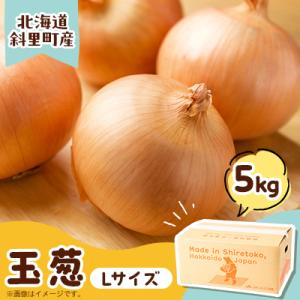 産地直送	知床の恵み凝縮!斜里の玉葱Lサイズ5kg　産地直送