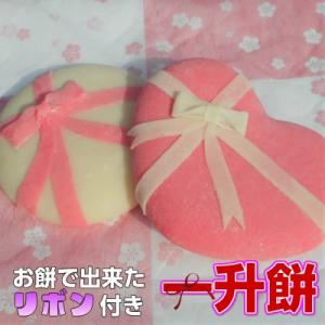 ふるさと納税 久万高原町 リボン付き一升餅(白丸...の商品画像