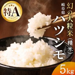 令和7年産　岐阜県産ハツシモ(精米)5kg  国産 米