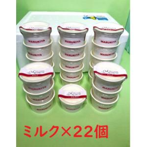 北海道江別ジェラート【ミルク】22個<80ml×22個>