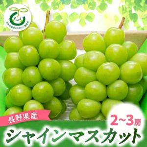 【2026年先行受付】シャインマスカット (2～3房)