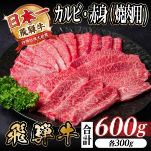 飛騨牛 厳選カルビ・赤身(焼肉・BBQ用)600g　小分け　黒毛和牛　A4～A5等級