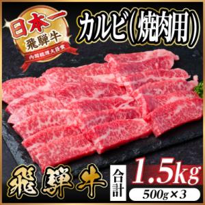 飛騨牛 厳選カルビ(焼肉・BBQ用) 1.5kg(500g×3)　黒毛和牛　小分け　A4～A5等級