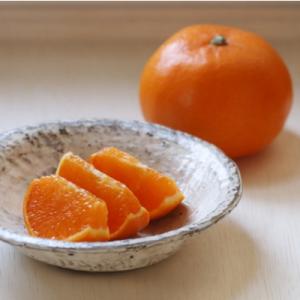 【最高の旨みと香りが詰まった】代々橙せとか【訳あり】3.5kg【C83-9】