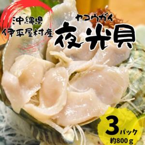 夜光貝 3パック 800g(1パックあたり200g～300g)