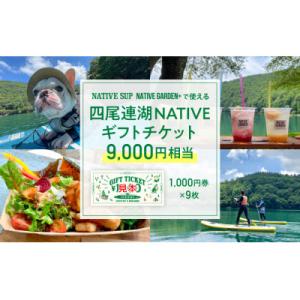 ふるさと納税 市川三郷町 四尾連湖 NATIVEギフトチケット9,000円券