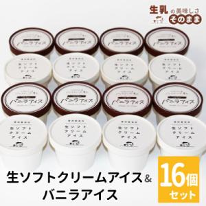 搾りたて生乳使用　食べ比べ!生ソフトクリームアイス&バニラアイスクリーム 16個セット
