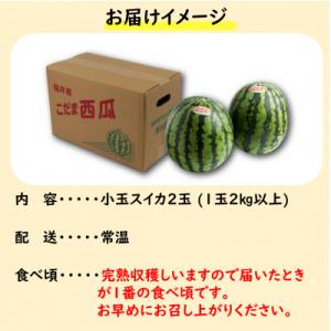 ふるさと納税 あわら市 【先行予約】小玉すいか...の詳細画像2