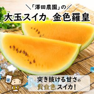 ふるさと納税 あわら市 【先行予約】大玉スイカ『金色羅皇』(7kg以上 1玉入) スイカ史上 最高糖度!