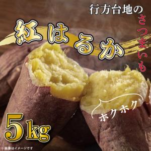 先行予約　行方市 紅はるか 訳あり 無選別 行方台地のさつまいも 5kg サツマイモ CU-55-1