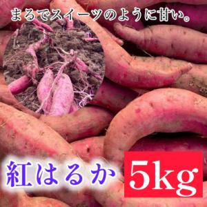 しょうた農園の紅はるか5kg