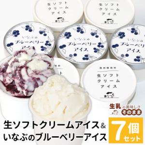 ミルク感たっぷりの生ソフトクリーム&いなぶのブルーベリー 7個