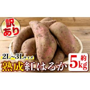 《訳あり》熟成紅はるか(約5kg・2L～3Lサイズ混合)